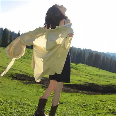赤裸特工